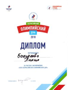 Портфолио
