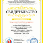 Портфолио