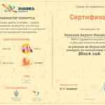 Портфолио