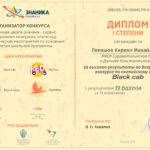 Портфолио