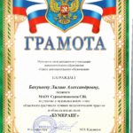 Портфолио