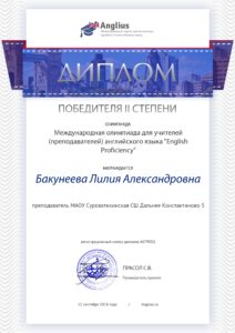 Портфолио