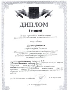 Портфолио