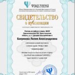 Портфолио