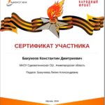 Портфолио
