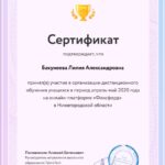 Портфолио