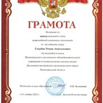 Портфолио