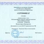 Портфолио